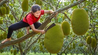 Mukbang: The Sweetest Jackfruit Ever! Harvesting &amp; Eating In The Garden | Farm Life Tropics