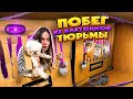 Побег из картонной тюрьмы с котами Челлендж