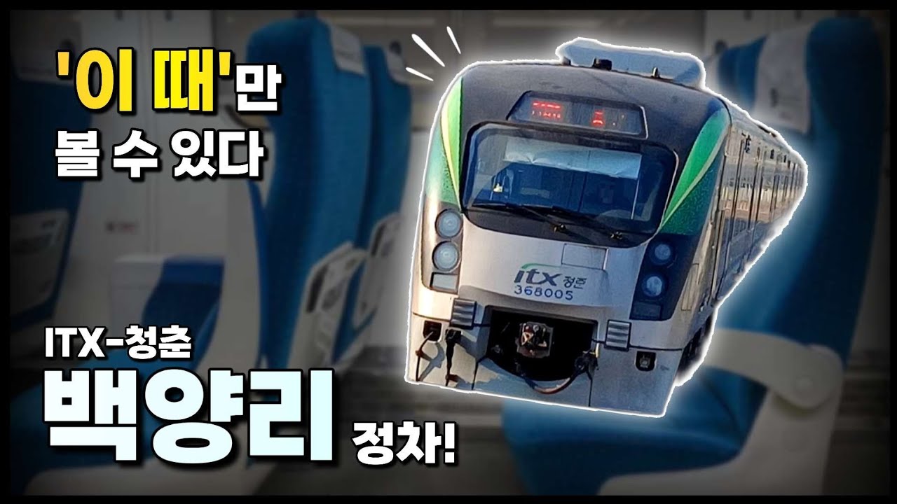 동절기에만 볼 수 있다? - 백양리역 임시 정차 ITX-청춘 타봄!