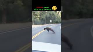 Drunk Friend