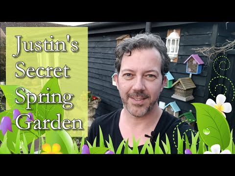 Justin's Secret Spring