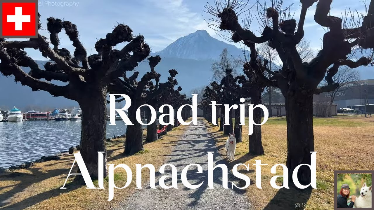 A road trip to Alpnachstad - Alpnachersee Switzerland 4K