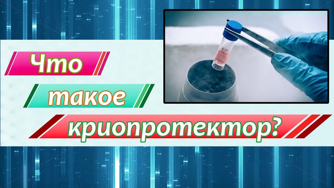 Что такое криопротектор и его использование в крионике [Reactions на русском] 