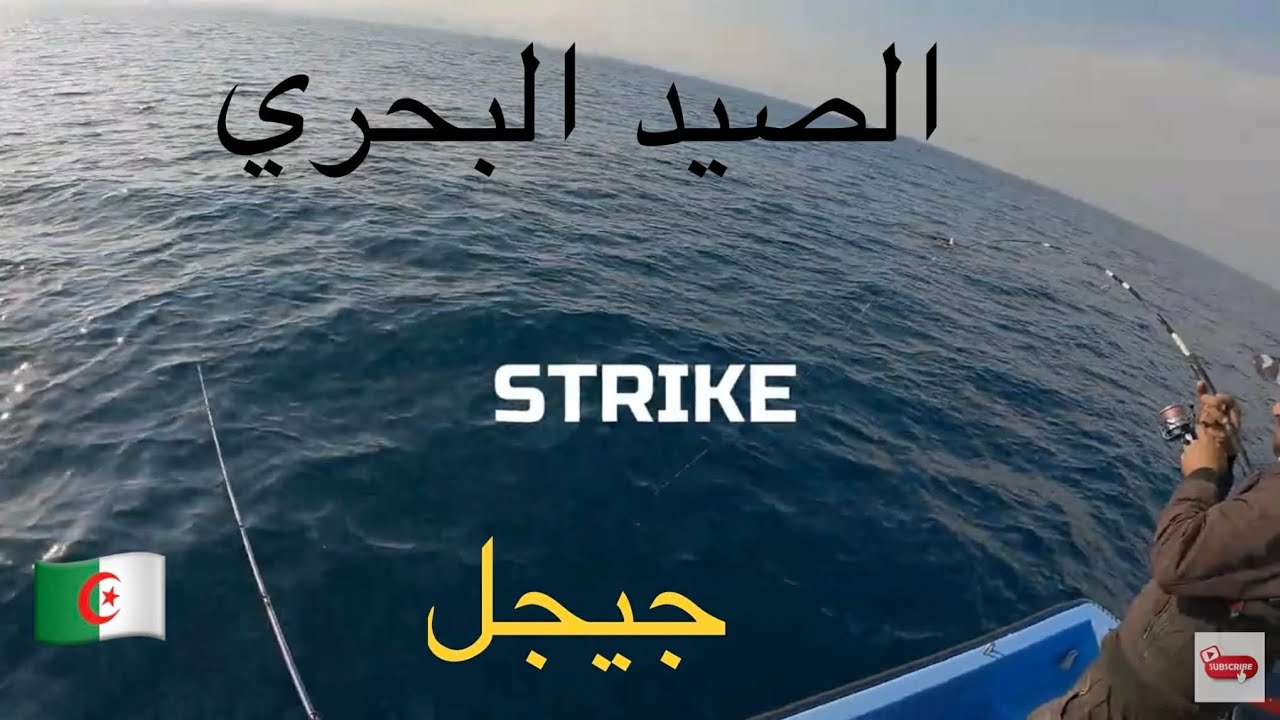 صيد السمك من القارب في الجزائر - جيجل - 12-12-2025 La pèche en bateau en Algérie عيش معانا المتعة