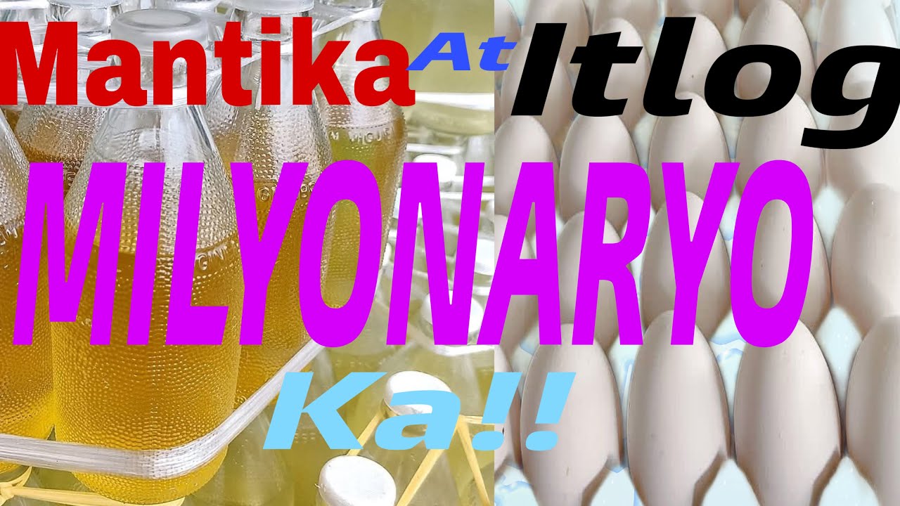 Itlog at Mantika, Asin magandang negusyo