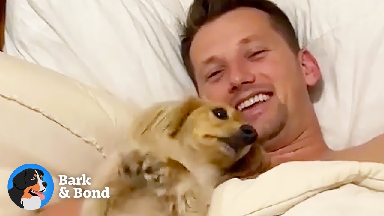 The Dog Who Chose His 