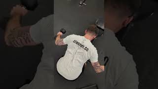 Head-Supported DB Reverse Fly