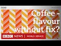 Decaf: Taking the buzz out of coffee - BBC World Service, The Food Chain