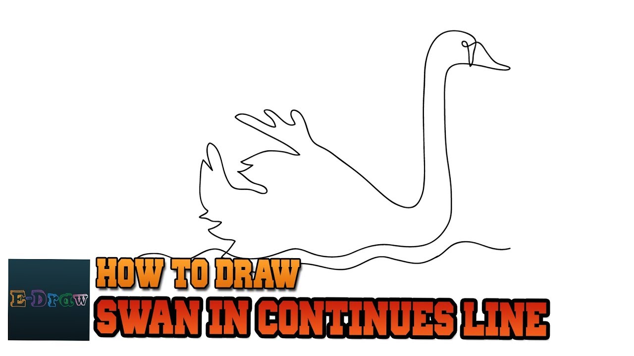 How to Draw Swan in Continuous line Easy Step by Step for