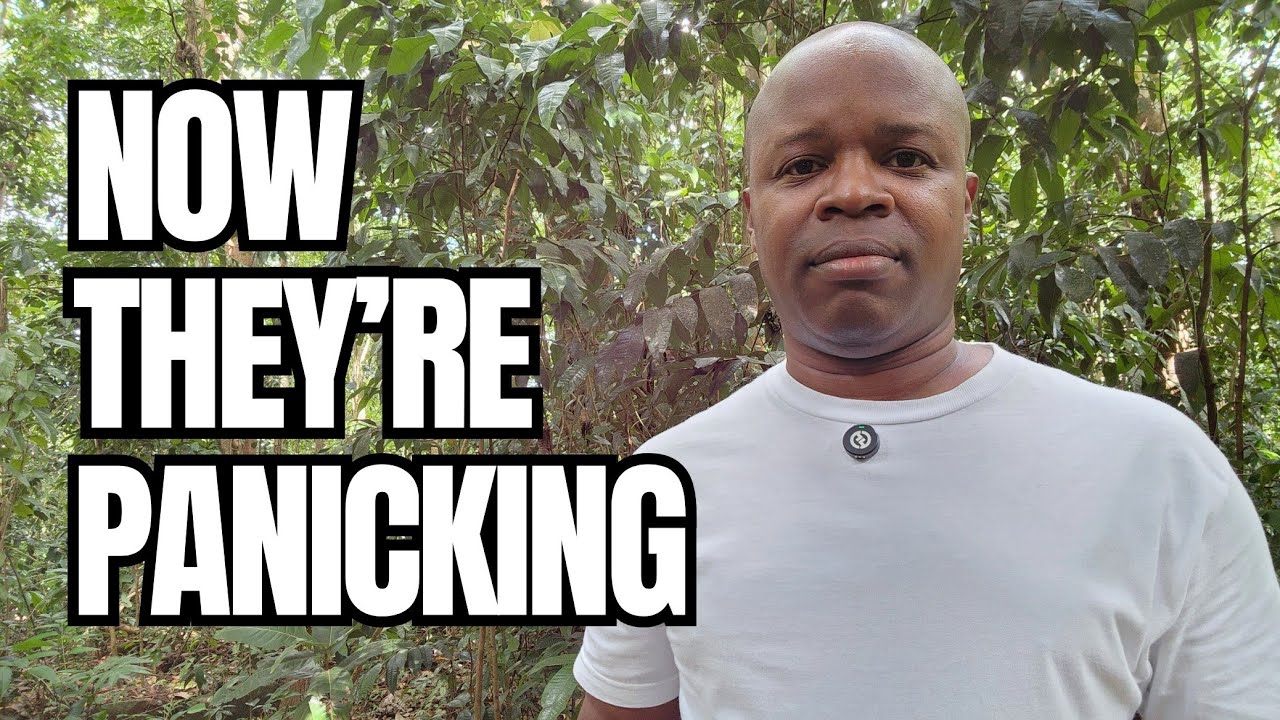 Они и не думали, что ты выживешь… Теперь они в панике.