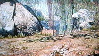 Call of Duty: Black Ops Spawn Tomahawk Jungle Domination