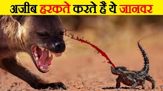 अपने आप को बचाने के लिये अजीब हरकते करते है ये जानवर  | These Animals do Strange Things