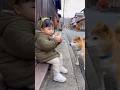 かわいいwwww #ai #柴犬 #shorts