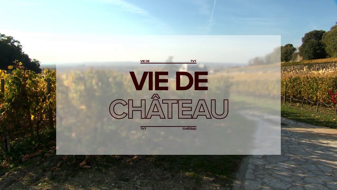 Vie de Château - Château Doyac