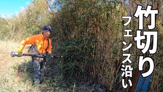 イノシシに荒らされた栗畑の草刈りは最後は竹切り Prunarbo電動剪定バサミ｜竹切り 便利ツール