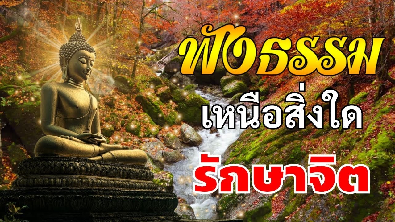 ฟังเทศน์ก่อนนอน☘️ดีหรือไม่ดี อยู่ที่ตัวทำ ได้บุญมาก จิตใจสงบ💕Dhamma for Your Sleep