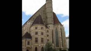 Viena 2008