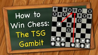 How to Win Chess: The TSG Gambit @TripleSGames