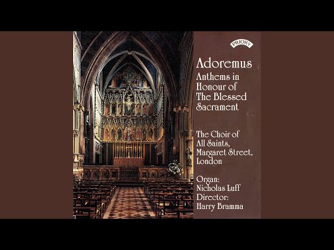 在 YouTube 上观看 Tantum ergo sacramentum (3)