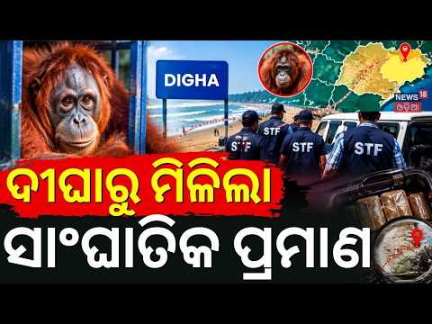Balasore Orangutan Case: STF ହାତରେ ସାଂଘାତିକ ପ୍ରମାଣ | Orangutan in Odisha | Nandankanan | Odia News