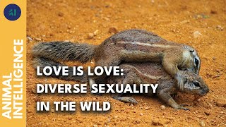 How Common Is Homosexuality Among The Wildlife? Ai