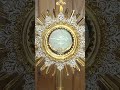 🙏Blessed Sacrament Live 💖 Jesus hidden God I adore you! 🙏 Live Adoration of the Blessed Sacrament