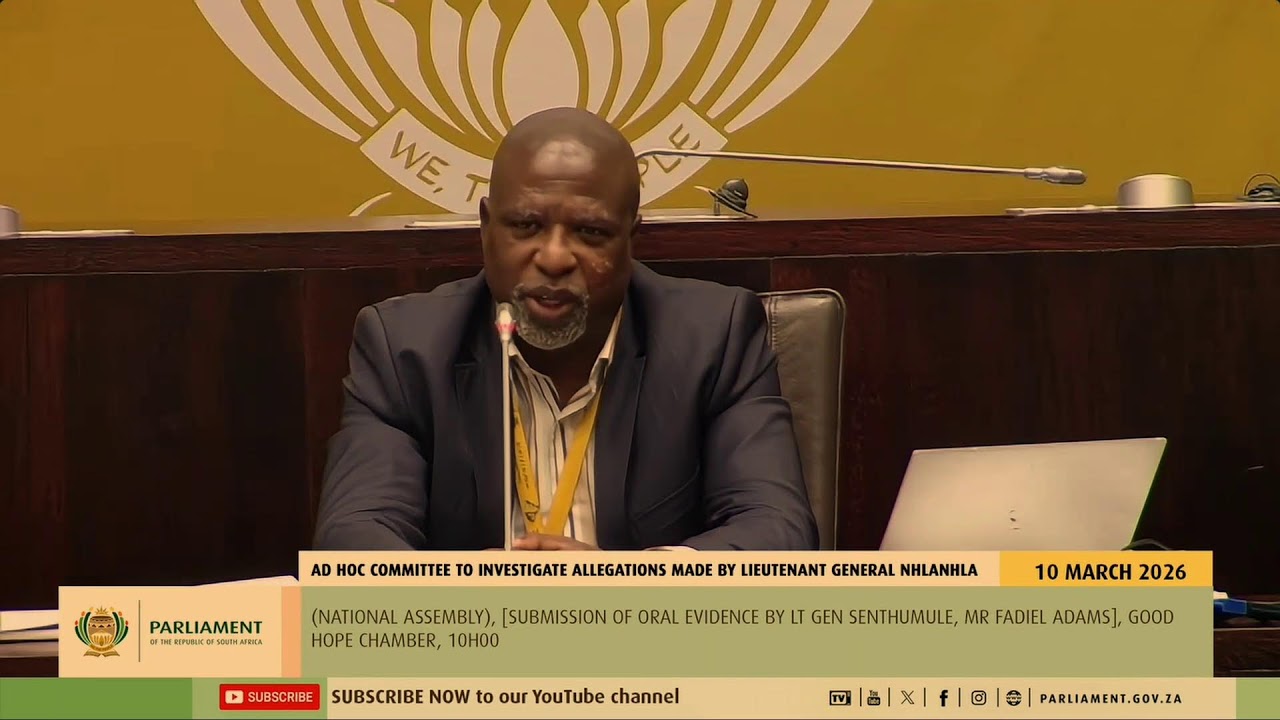 AD Hoc Committee investigates allegations made by Lt Mkhwanazi