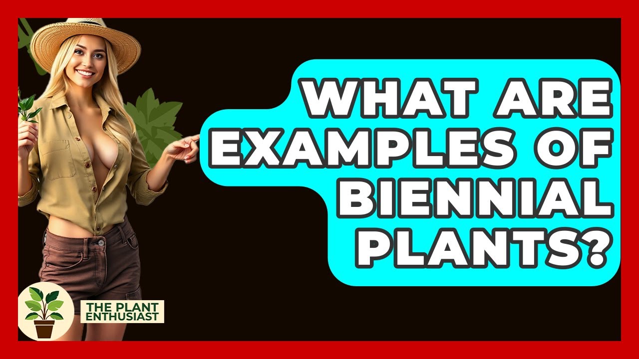 What Are Examples Of Biennial Plants? - The Plant Enthusiast