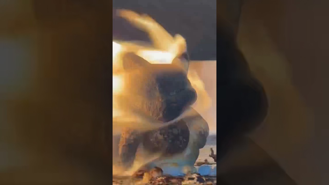 It’s impossible to destroy this toy😱