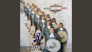 Video thumbnail of "Mariachi Nuevo Tecalitlán - Mi Razón De Ser"