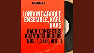 Concerto brandebourgeois No. 2 in F Major, BWV 1047: II. Andante