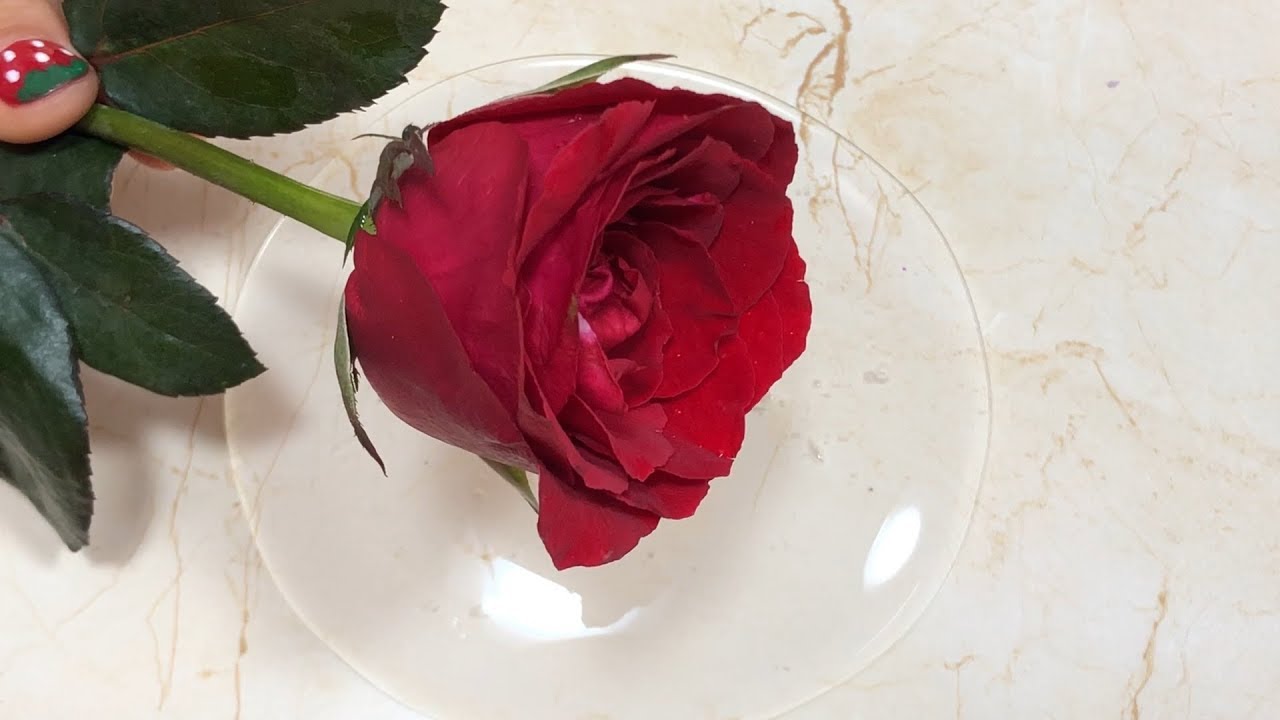 Mixing Random Things Into Slime - Most Satisfying Slime Video 4