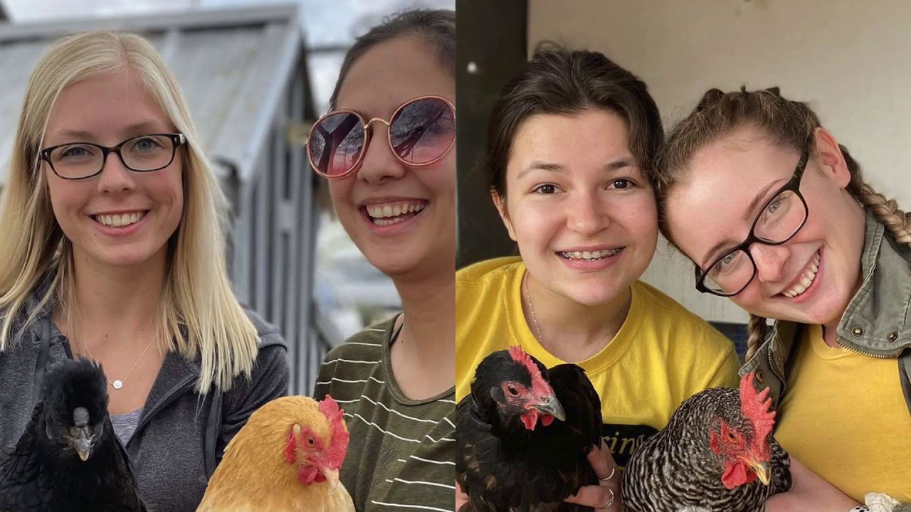 Northeast Iowa Community College Spring Break Service Trip 2020 YouTube Northeast Iowa Community College Spring Break Service Trip 2020 YouTube