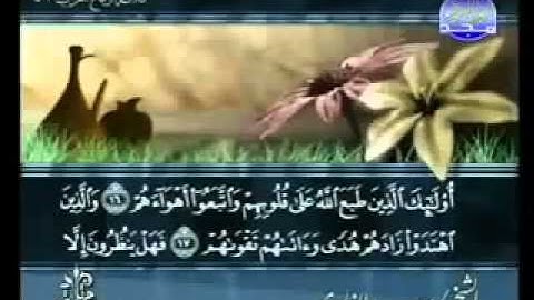 سورة  محمد بصوت الشيخ سعد الغامدي