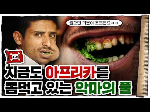 💀 에티오피아 경제를 먹여살리는 수출 효자 상품 / 💀 까트의 위험성