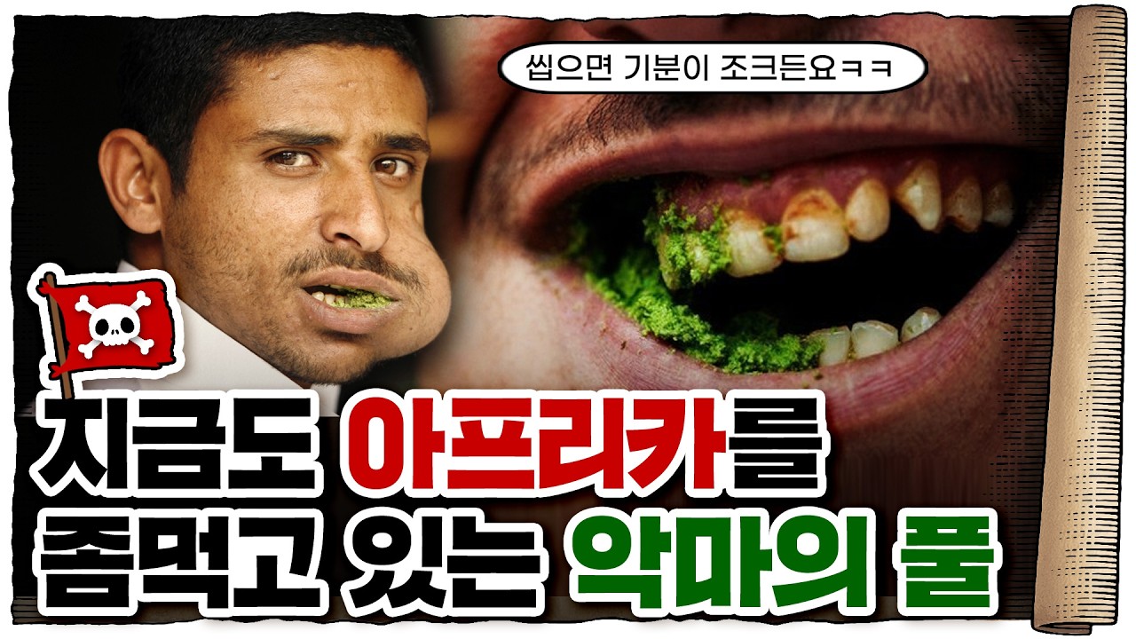 💀 에티오피아 경제를 먹여살리는 수출 효자 상품 / 💀 까트의 위험성