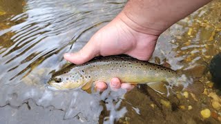 Download Lagu Cloudy Blessings MP3