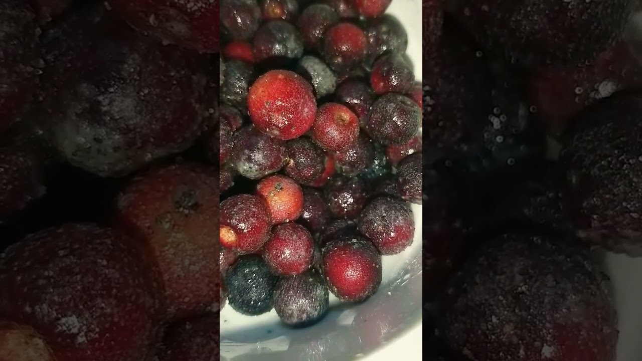 FALSA FRUIT 