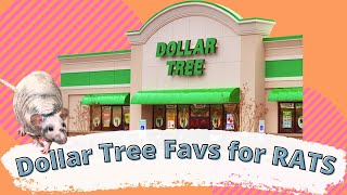 Dollar Tree Favs for RATS