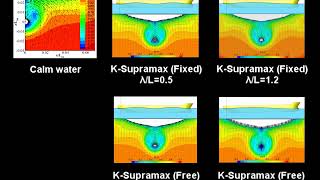Wake on the propeller plane in waves : K-Supramax