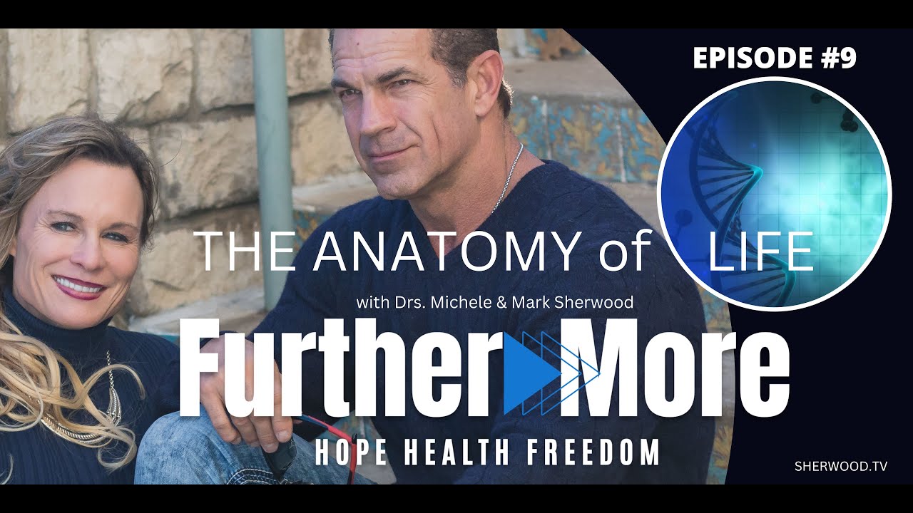 The Anatomy of Life | FurtherMore Ep 09 - YouTube