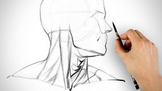 Learn to Draw the Neck - Form and Assignment Example