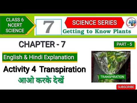 Getting to Know Plants Class 6 Chapter 7 | Part 5 | Activity 4 ...