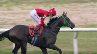 Vidéo de la course PMU PRIX HANDICAP ESPECIAL MASCAGNI