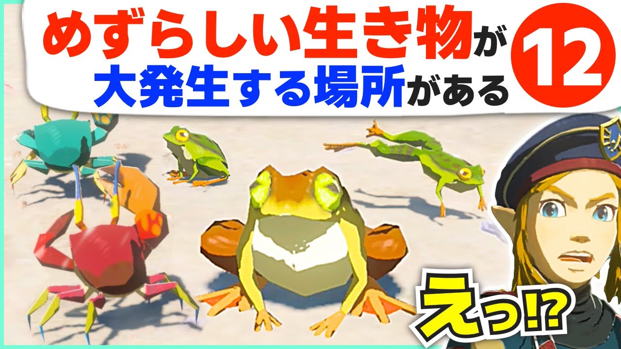 攻略 幻想的すぎる 生き物の生息地や豆知識１２選 ゼルダの伝説 ブレスオブザワイルド Youtube