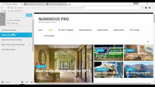 Numinous Pro WordPress Magazine Theme- Ad Settings