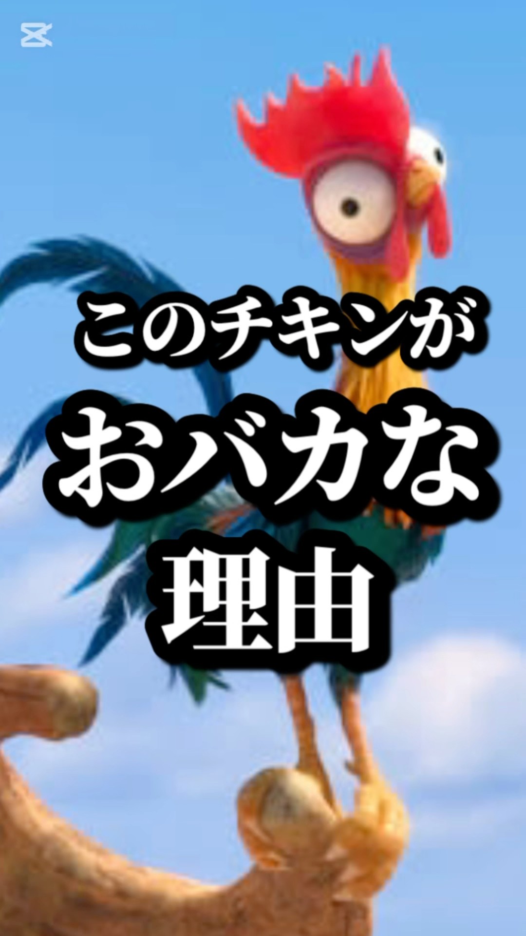 モアナと伝説の海のヘイヘイに関するディズニー雑学 #ディズニー