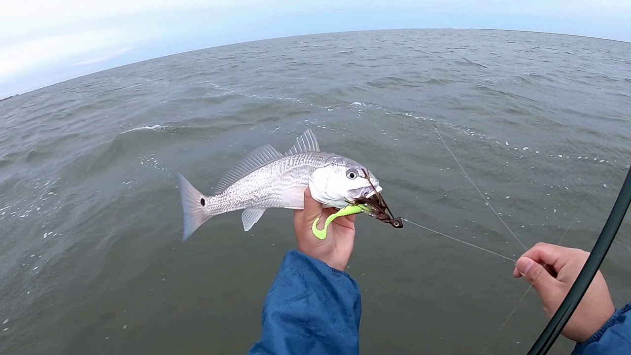 MDLR is the BIRDMAN! Wade Fishing with Buggs Lures YouTube