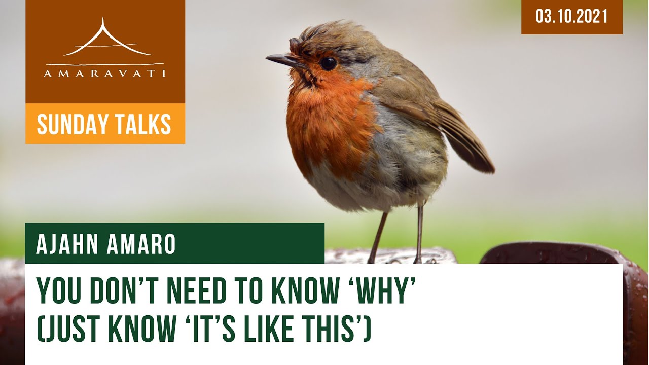 You Don’t Need to Know ‘why’ (Just Know ‘it’s like This’) | Ajahn Amaro | 03.10.2021