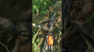 The fastest way to profit from logging | Farming Simulator 25 #shorts #tutorial #fs25